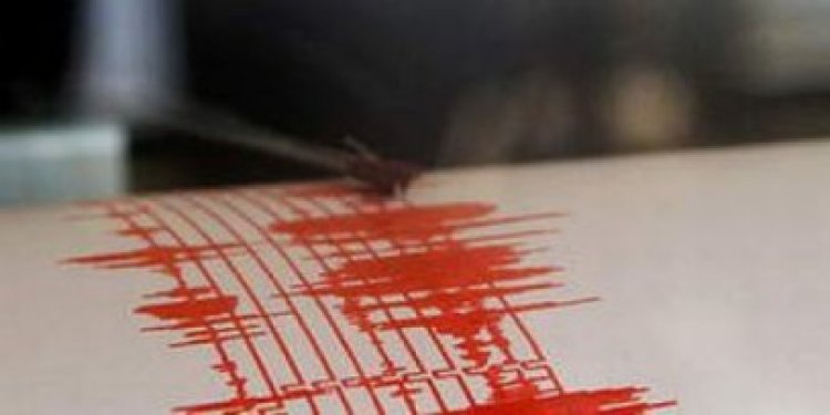 Cutremur de 4,5 în Vrancea